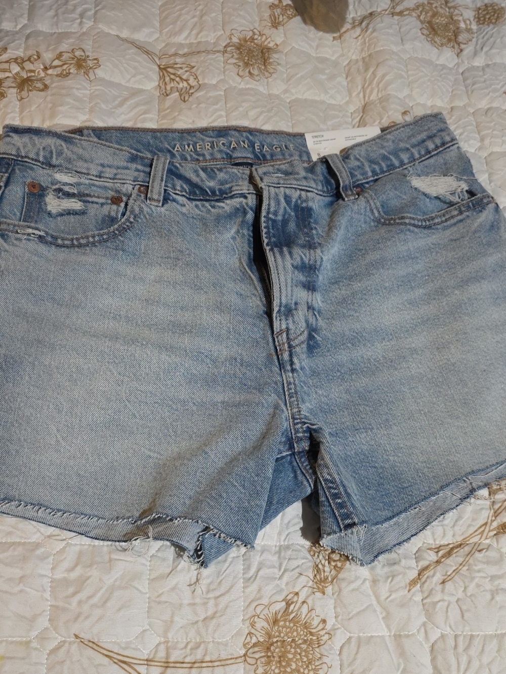 American Eagle Outfitters Light Wash Distressed Denim Shorts
